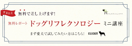 無料動画　ドッグリフレクソロジーとは？