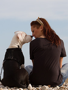 ドッグリフレクソロジー・ジャパン