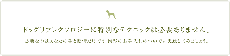 ドッグリフレクソロジーに特別なテクニックは必要ありません。必要なのはあなたの手と愛情だけです！肉球のお手入れのついでに実践してみましょう。