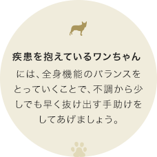 疾患を抱えているワンちゃんには、全身機能のバランスをとっていくことで、不調から少しでも早く抜け出す手助けをしてあげましょう。