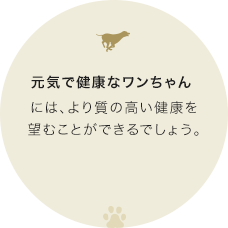 元気で健康なワンちゃんには、より質の高い健康を望むことができるでしょう。