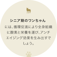 シニア期のワンちゃんには、循環促進により全身組織に酸素と栄養を運び、アンチエイジング効果を生み出すでしょう。